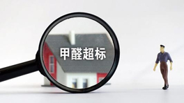 寵物們也會甲醛中毒？快看這些甲醛超標特征你家有沒有？